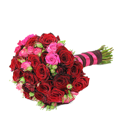 GIFT DEAL 6