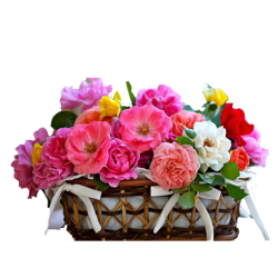 Imported flower love arrangement