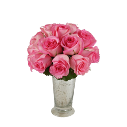 12 Imported Long Stem Pink Roses