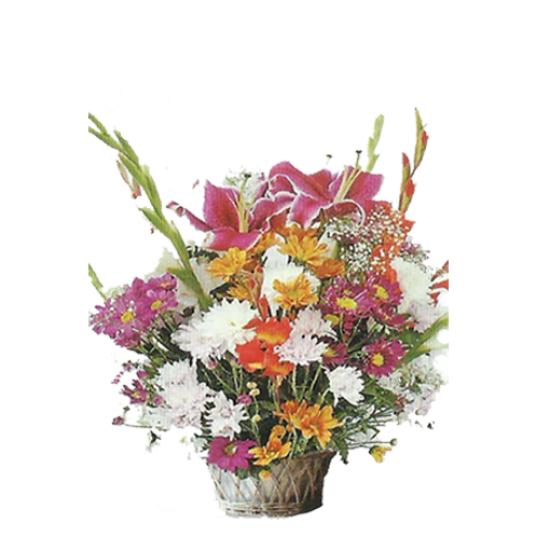 Discovery Peruvian Lily Flower Arrangement