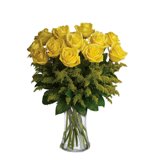 Imported yellow maverick flowers