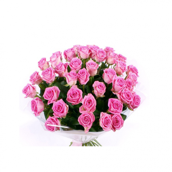 pink is pink bunch