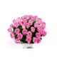 pink is pink bunch