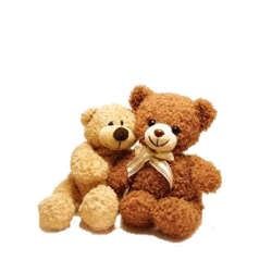 Pair of Teddy bear